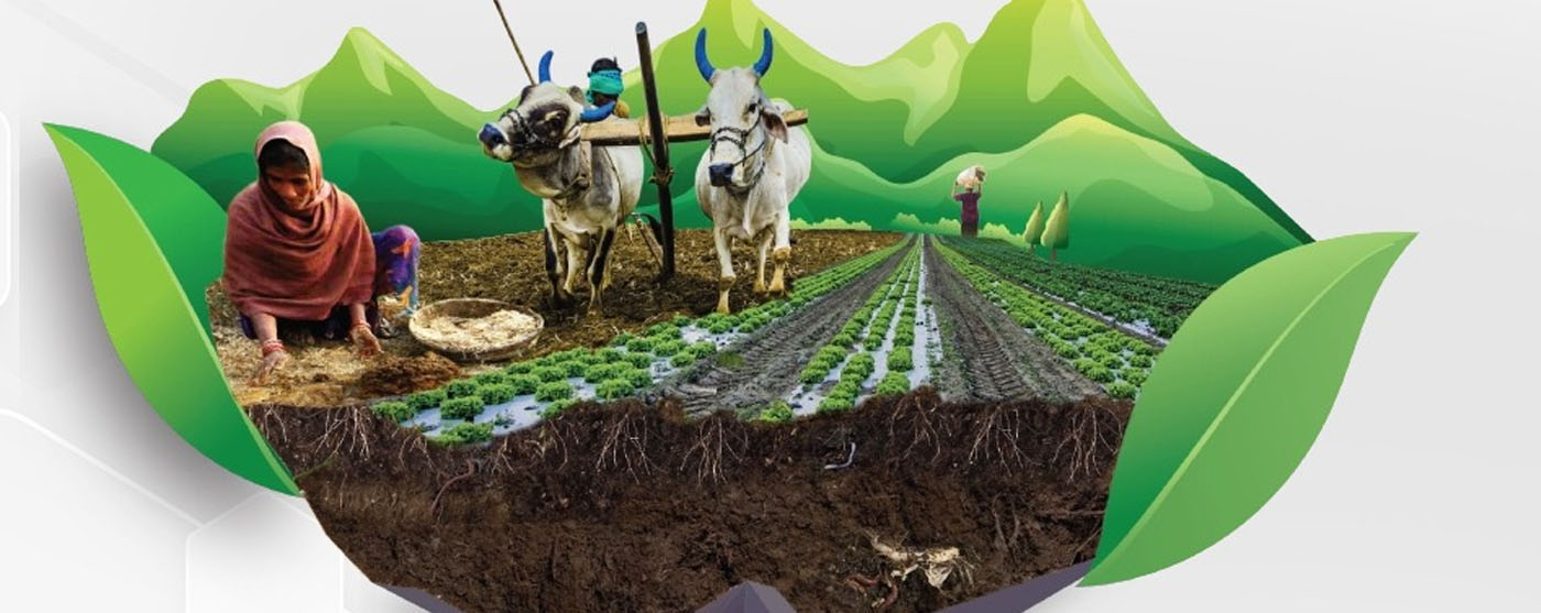 ORGANIC AGRICULTURE - DOMESTIC